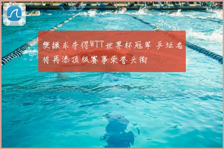 樊振东夺得WTT世界杯冠军 乒坛名将再添顶级赛事荣誉头衔