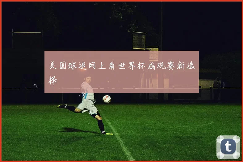 美国球迷网上看世界杯成观赛新选择