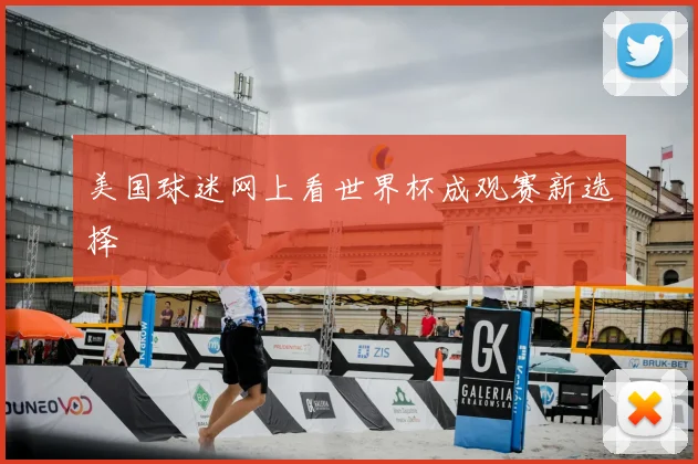 美国球迷网上看世界杯成观赛新选择