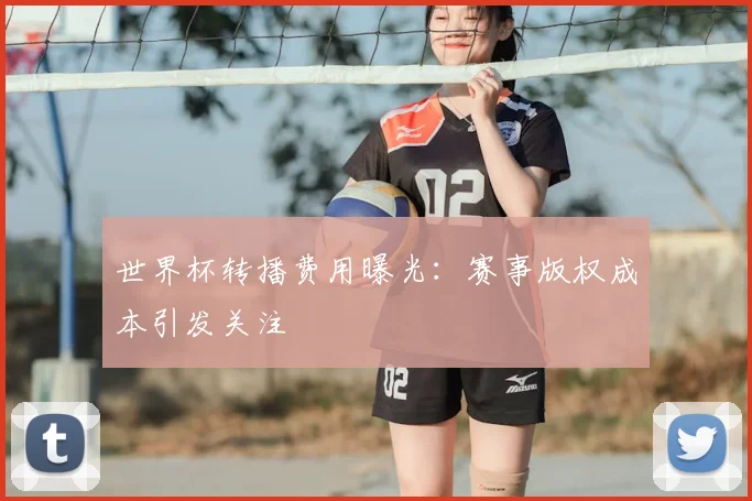世界杯转播费用曝光:赛事版权成本引发关注