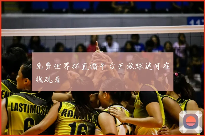 免费世界杯直播平台开放球迷可在线观看