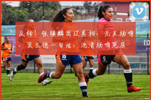 反转！张镇麟离辽真相，无关杨鸣，莫兰德一句话，洗清杨鸣冤屈