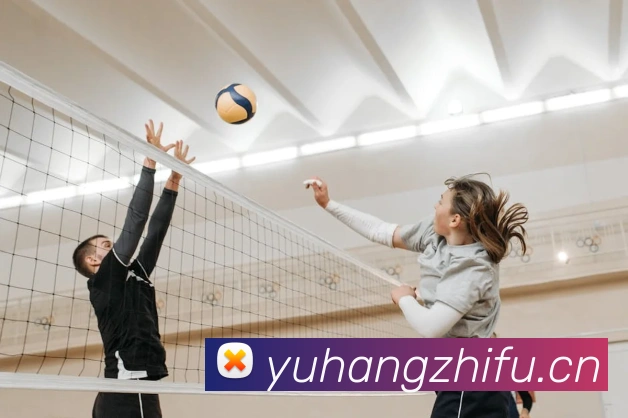 qy球友会官网版平台生态图